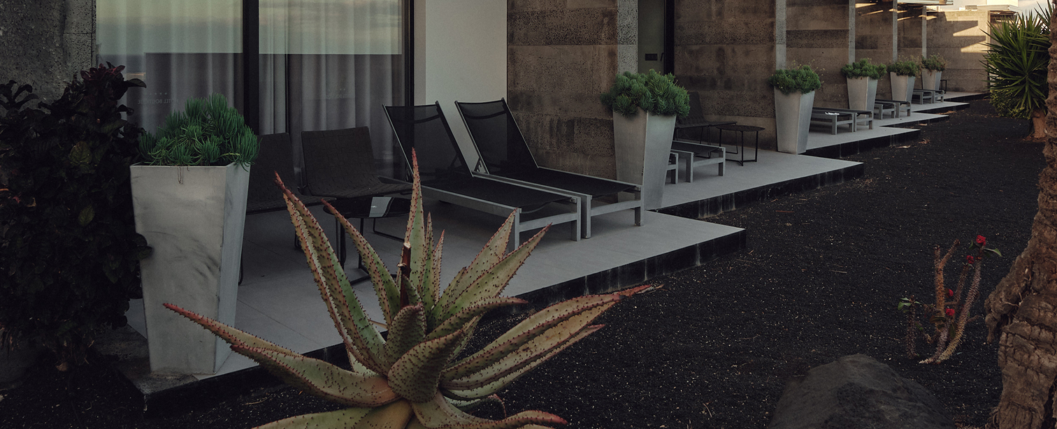 Terraza exterior de un hotel de diseño en Lanzarote. Tumbonas oscuras alineadas sobre suelo claro, flanqueadas por maceteros blancos con plantas. En primer plano, una planta de aloe en suelo de picón volcánico negro. Fachada de piedra volcánica al fondo.