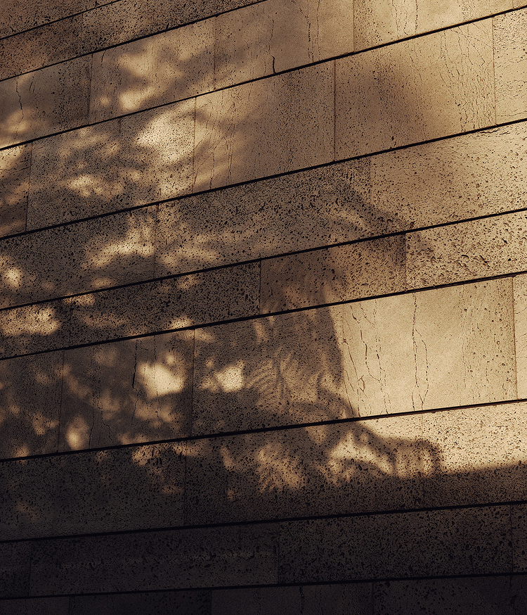 Sombra de vegetación en la pared del Hotel La Isla y el Mar/Aylanz