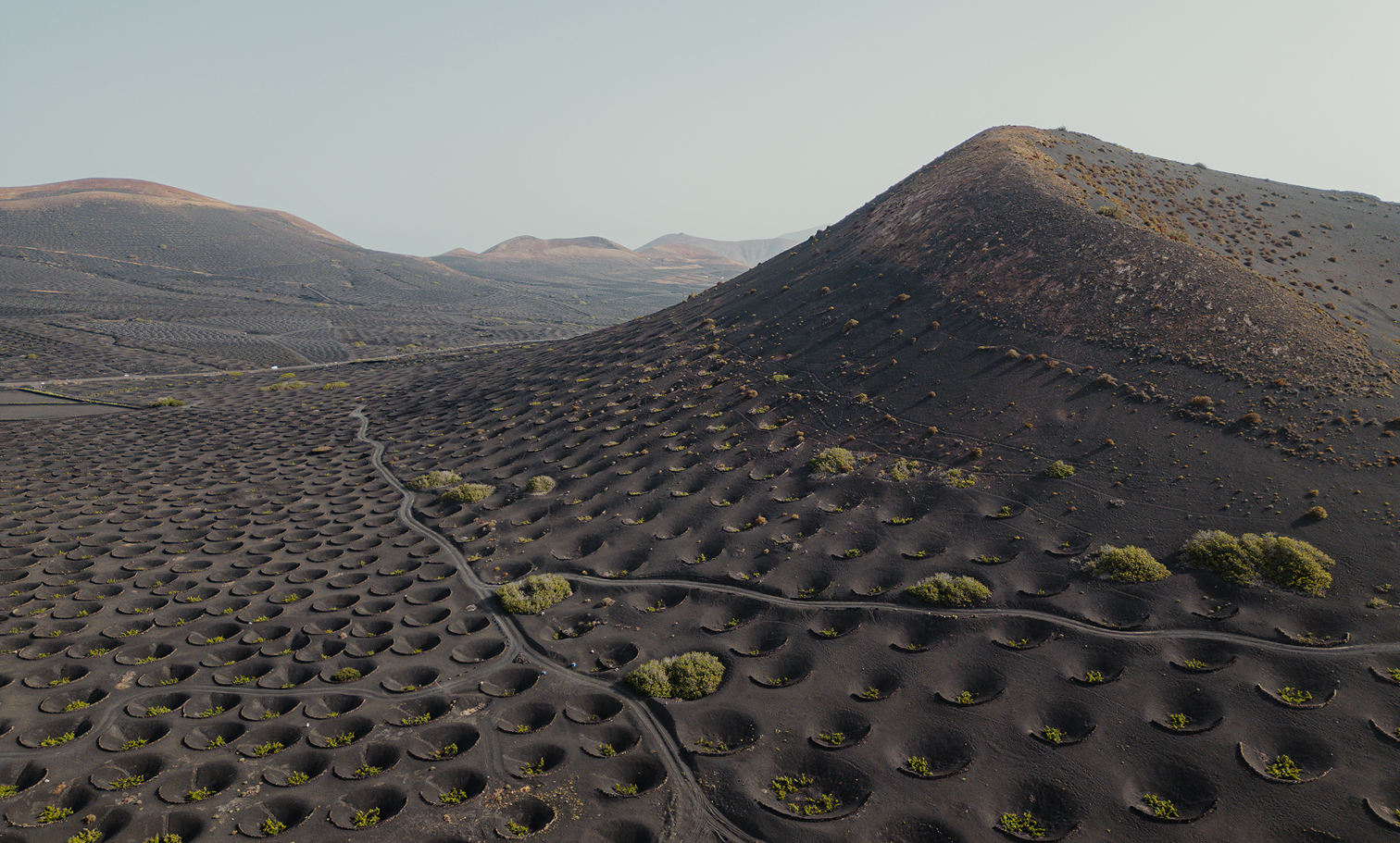 Viñedos de La Geria, Lanzarote, vistos desde el aire. Las cepas crecen en hoyos excavados en suelo volcánico negro, protegidas por semicírculos de piedra. Al fondo, conos volcánicos bajo un cielo despejado.